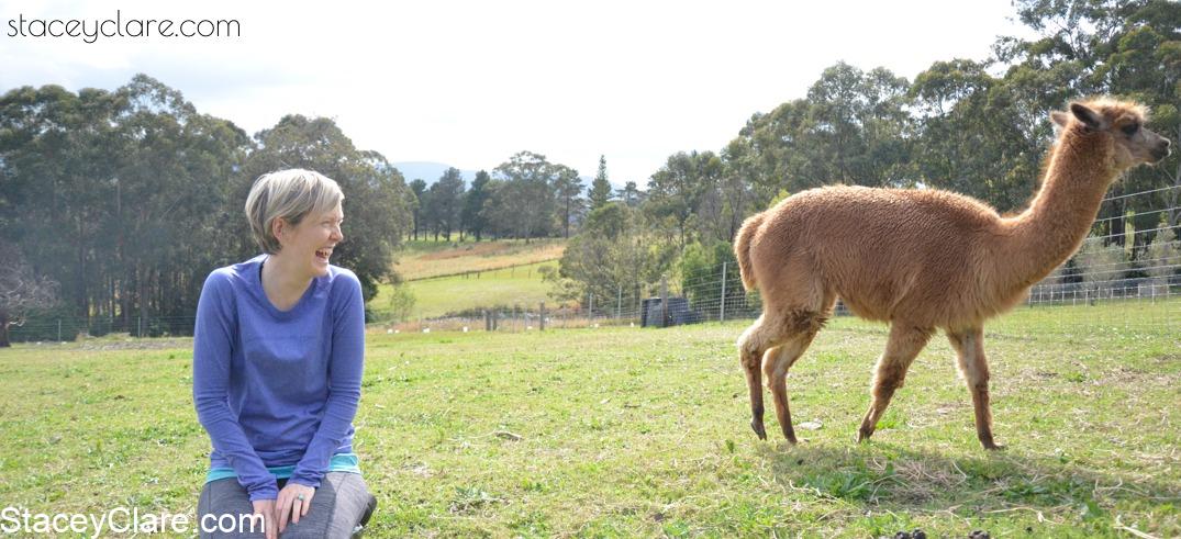 Back_2_Earth_Family_Farm_Stay_Sydney