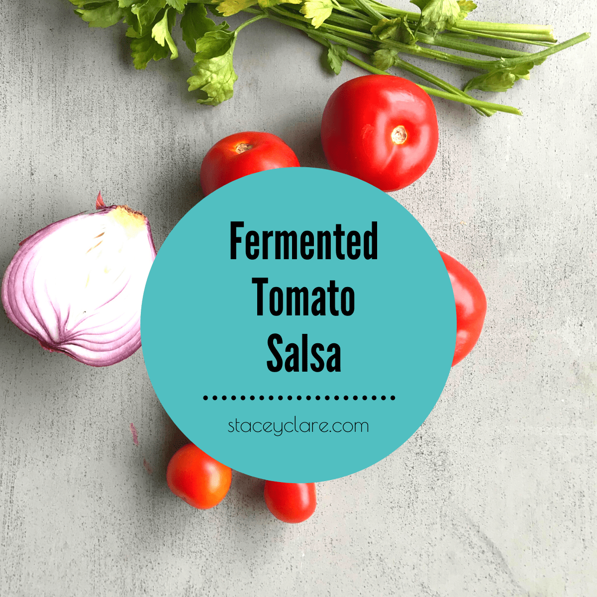 Fermented-Tomato-Salsa-Recipe
