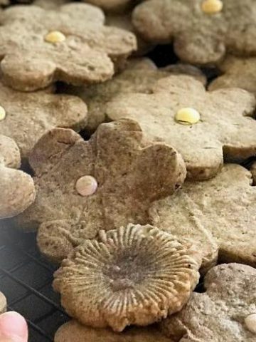 Easy shortbread cookie recipe