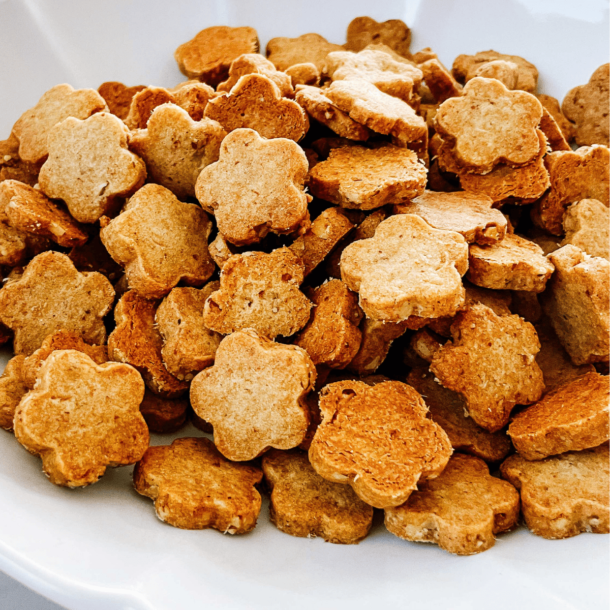 Pecan_Maple_Shortbread_Cookies