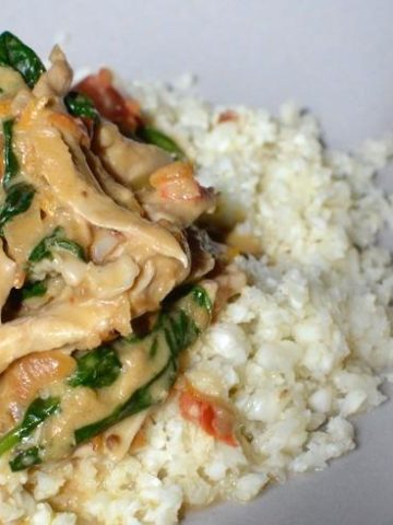 slow-cooker-peanut-chicken-recipe
