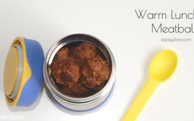 Warm thermos meal for kids lunchbox